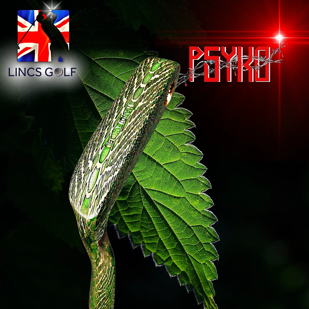 Custom PSYKO Art SnakeSkin Engraved Hand Forged Napa Putter 88cm Long - Image 2
